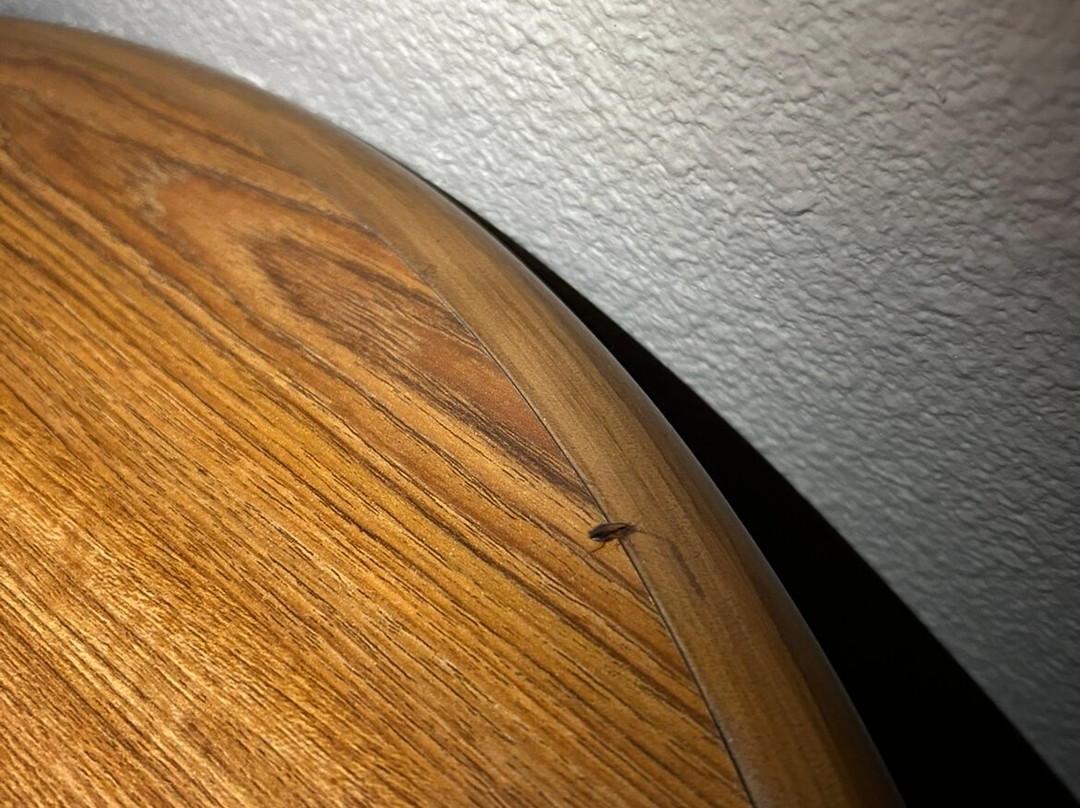 阿纳海姆沙漠套房酒店主图