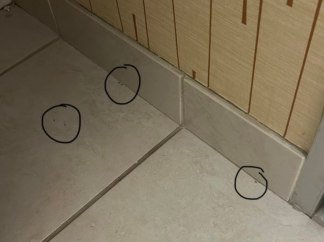 Holiday Inn 挪利其主图