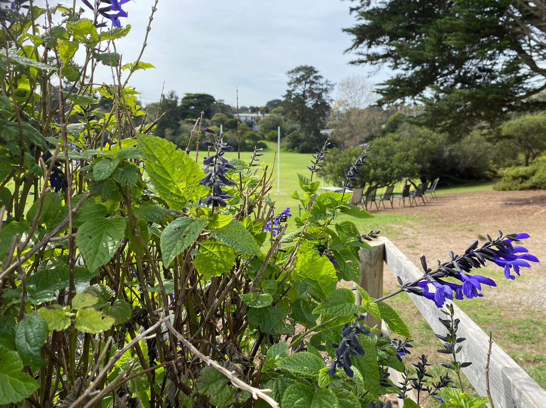 Percy Cerutty Oval (portsea Reserve)-波特西必去景点