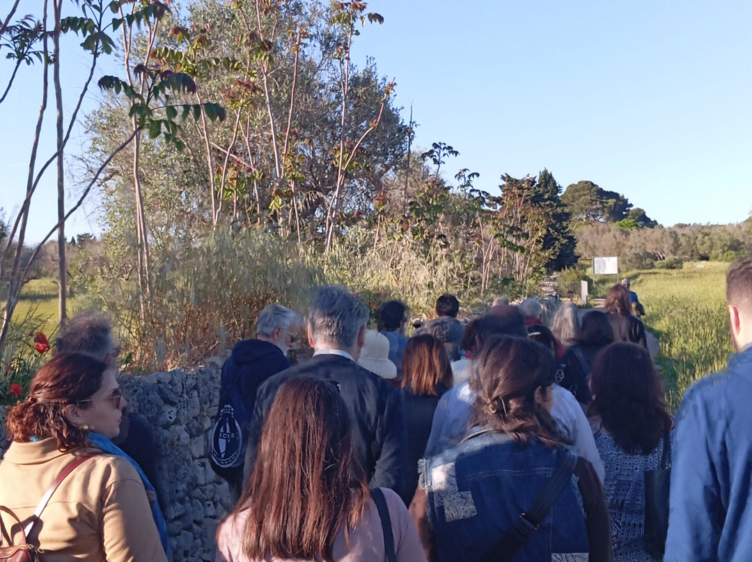 Parco Archeologico Di Rudiae-莱切必去景点