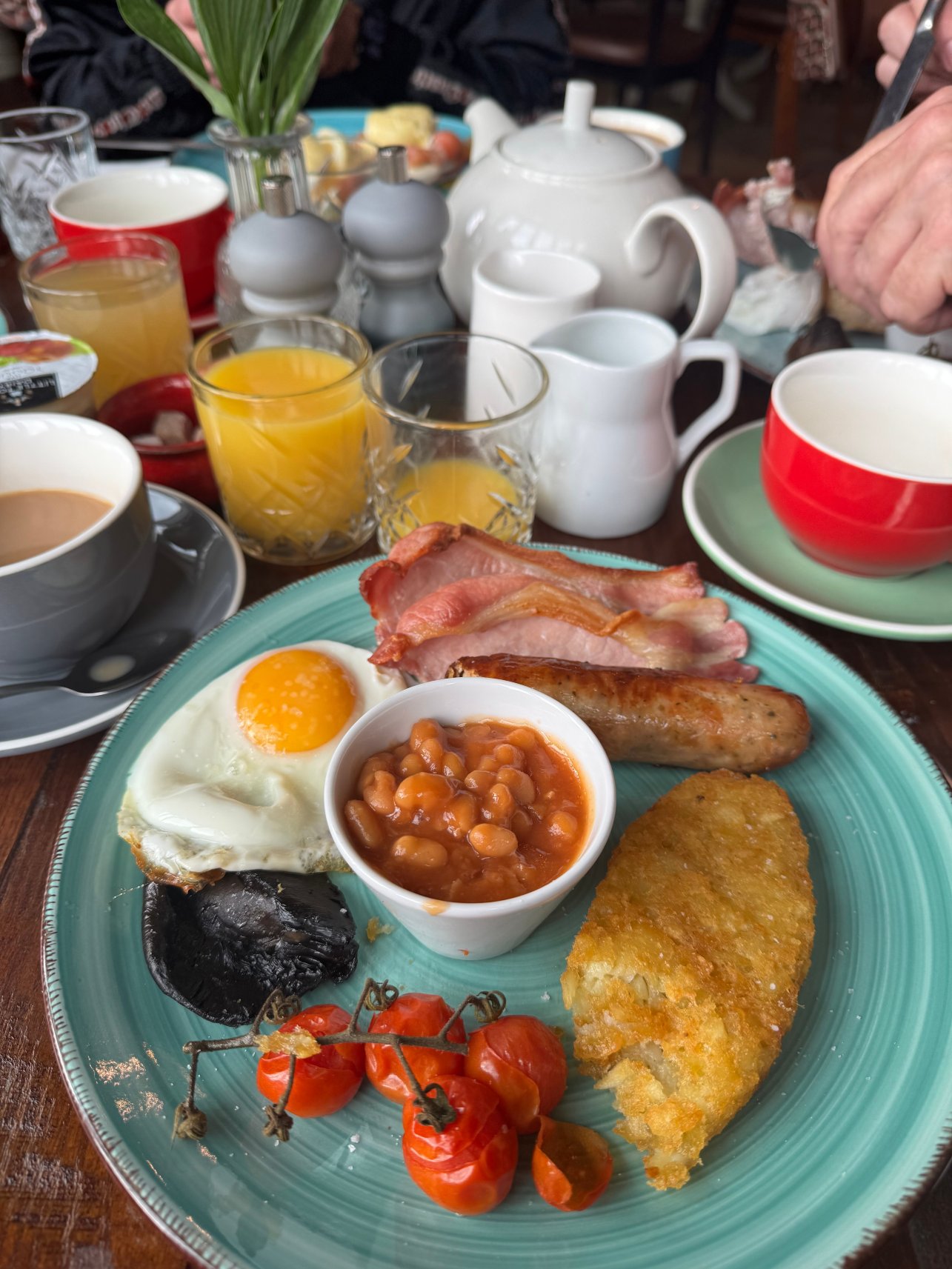 陶尔宾馆-旅行者