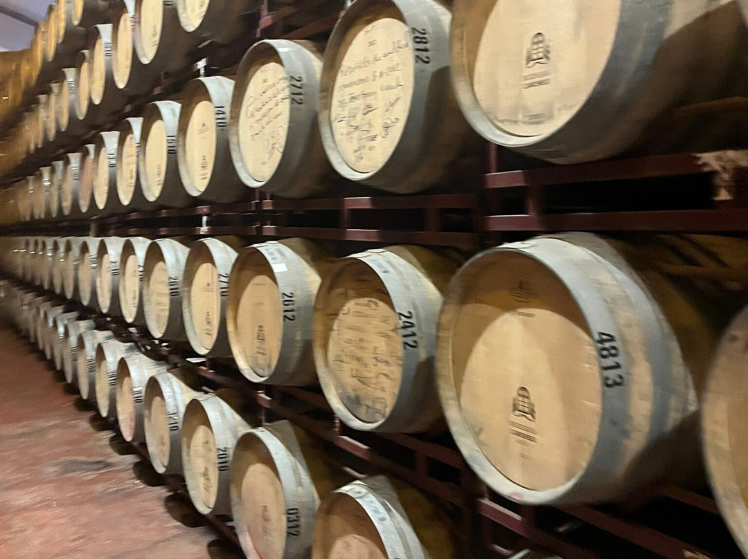 Bodegas Carchelo-Jumilla必去景点