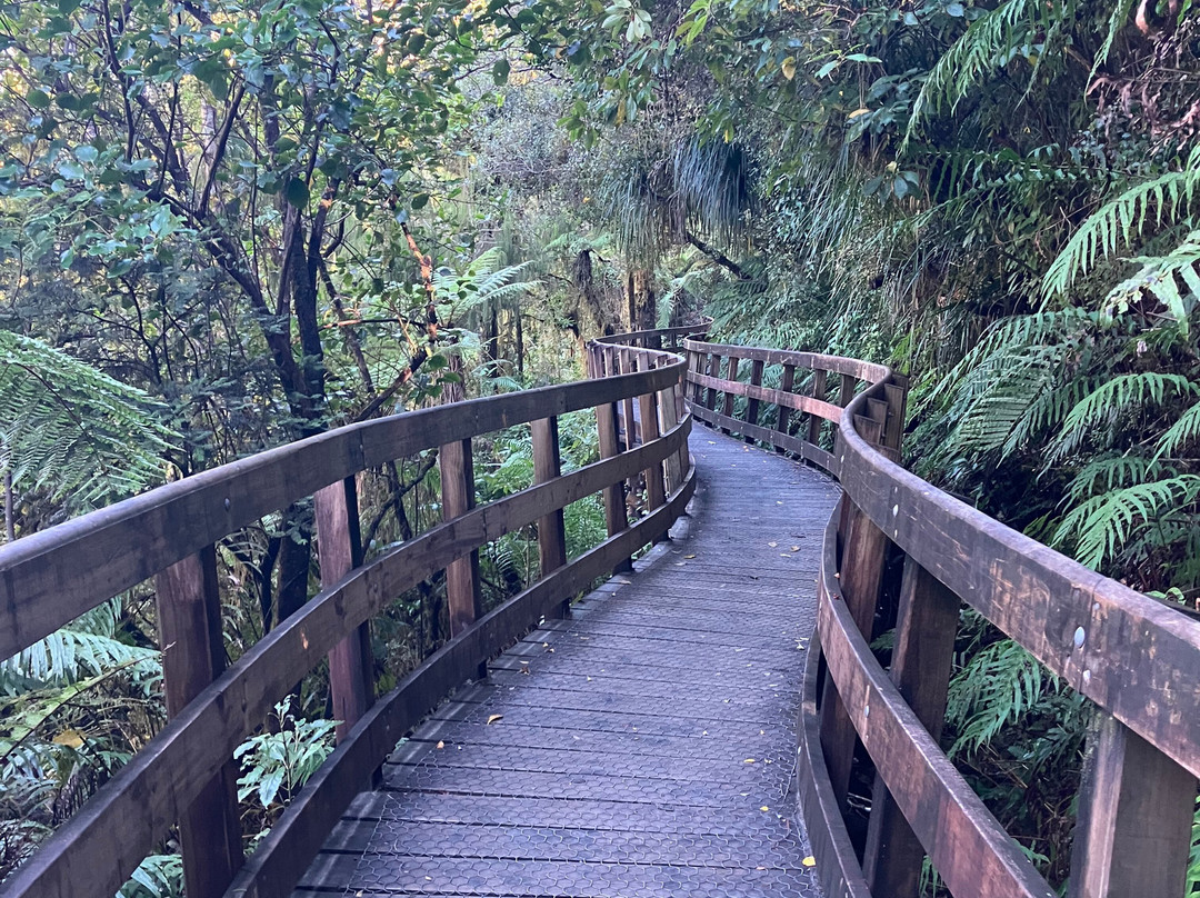 霍基蒂卡峡风景保护区-霍基蒂卡必去景点