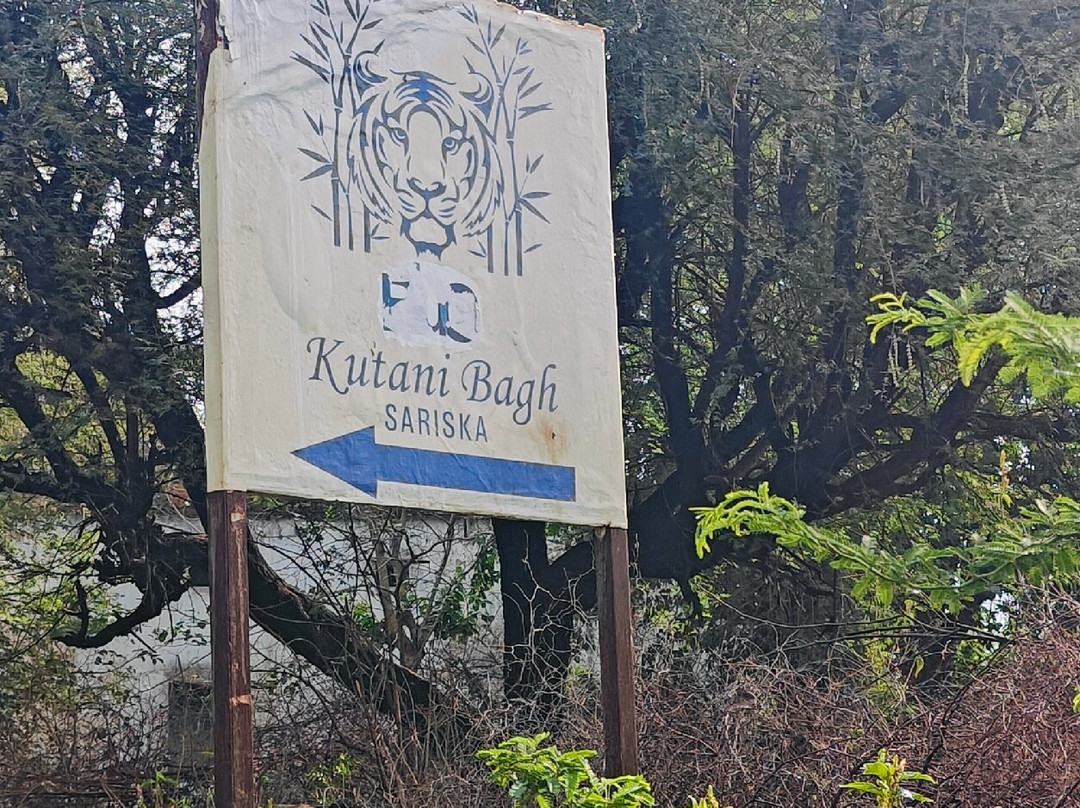 Kutani Bagh Sariska主图