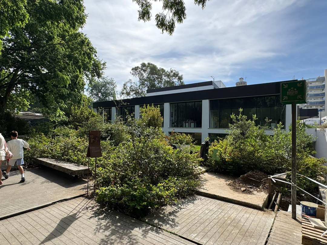 Centro de Arte Moderna Gulbenkian-里斯本必去景点