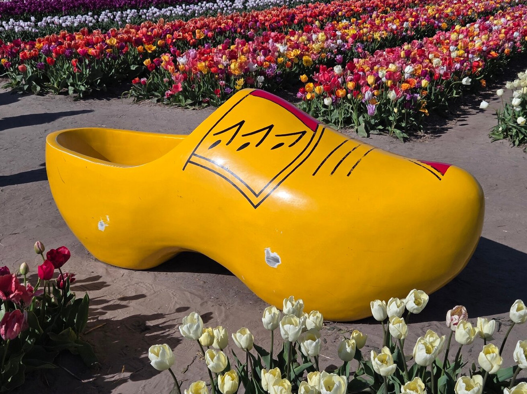 The Tulip Barn-Hillegom必去景点