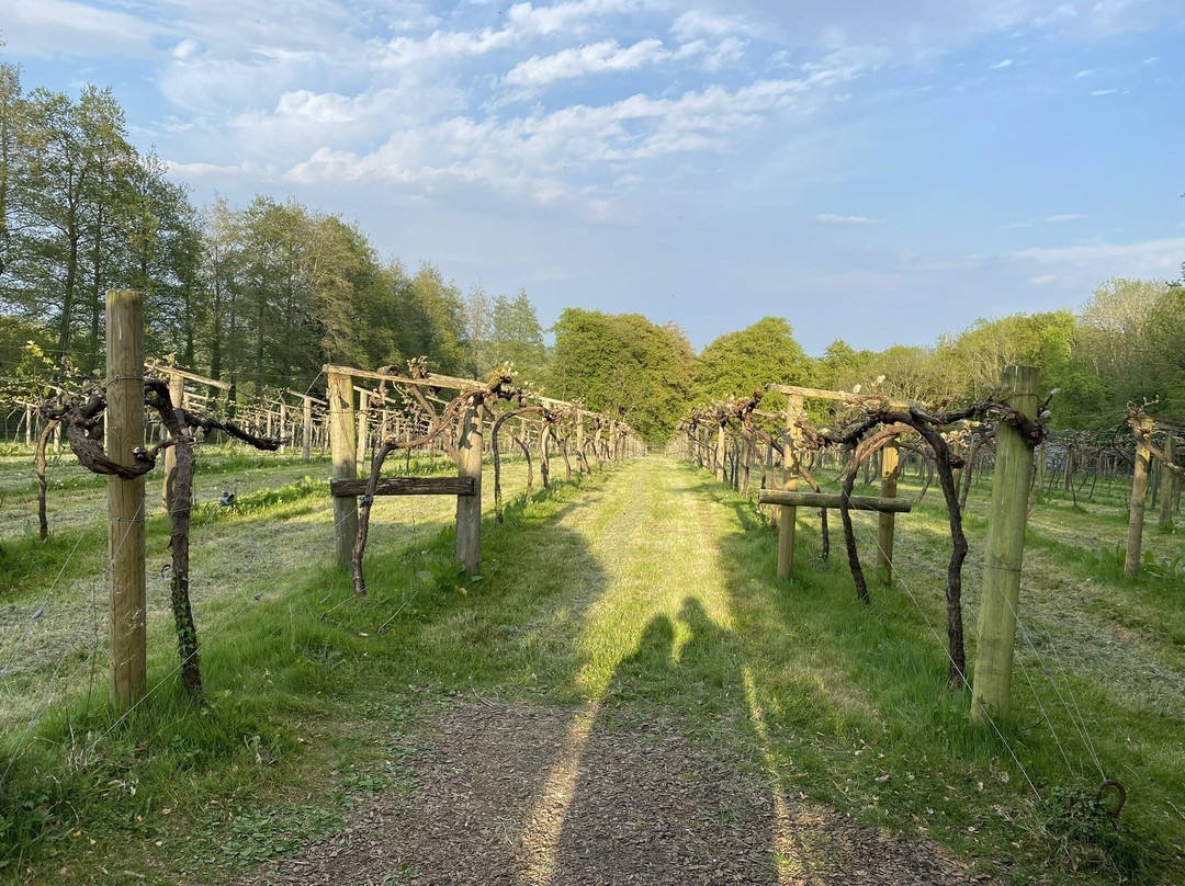 Chiltern Valley Winery & Brewery-泰晤士河畔亨利必去景点