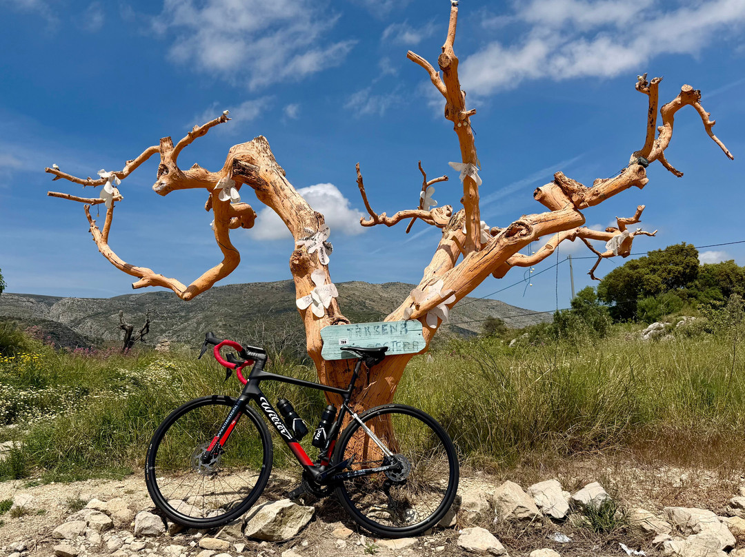 Alta Bike Rental-Jalon必去景点