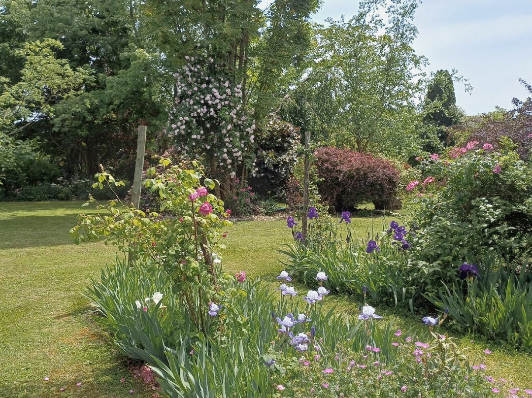 Le Jardin De Mireille