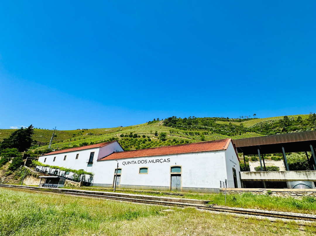 Wine Tourism - Quinta dos Murcas