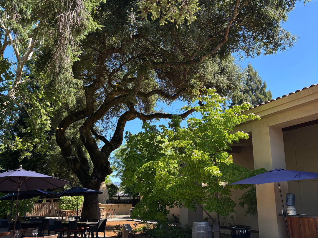 Seghesio Family Vineyards-希尔兹堡必去景点
