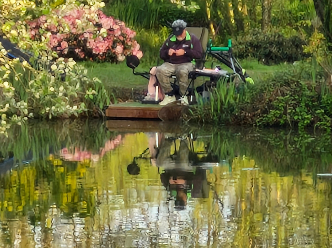 Holgan Farm Fishery-Narberth必去景点
