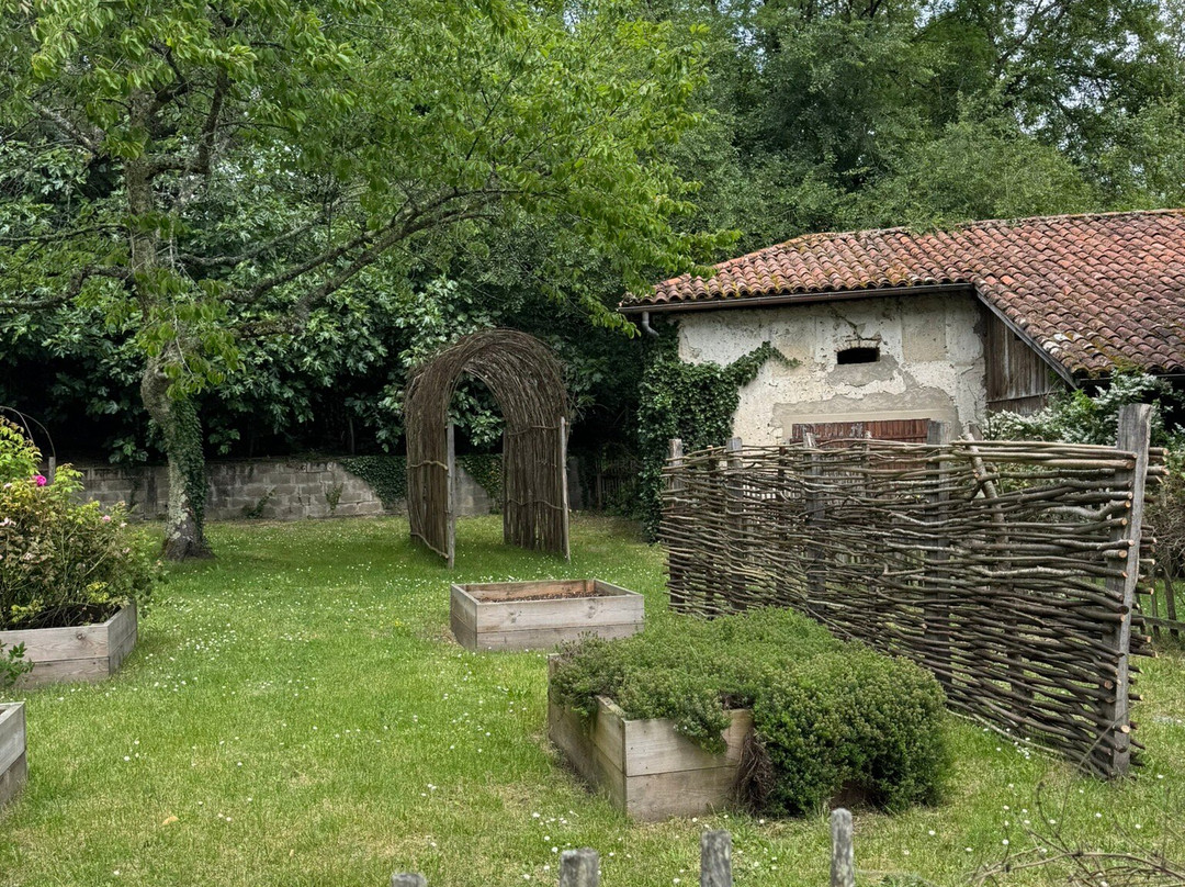 Musée Du Prieuré À Mimizan-Mimizan必去景点