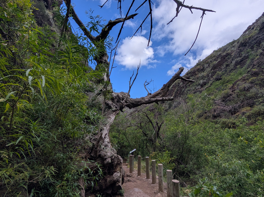Barranco Del Infierno-奥德杰海岸必去景点