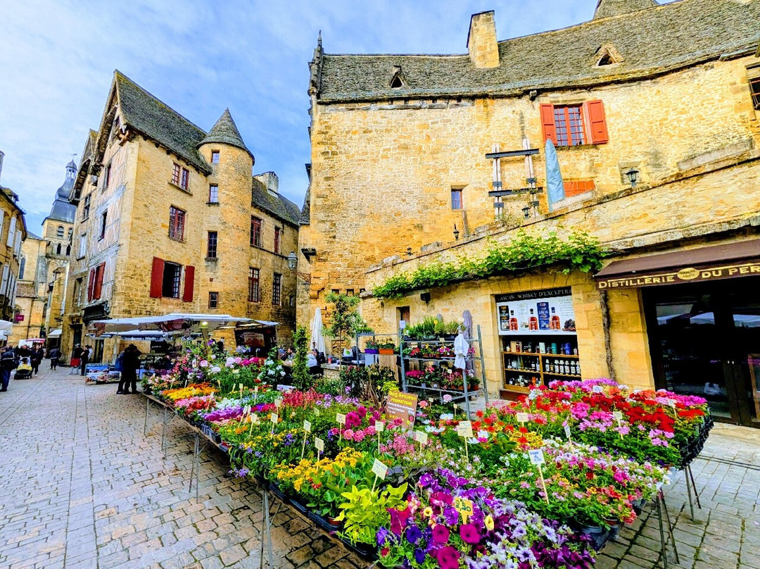Sarlat Market-萨尔拉必去景点