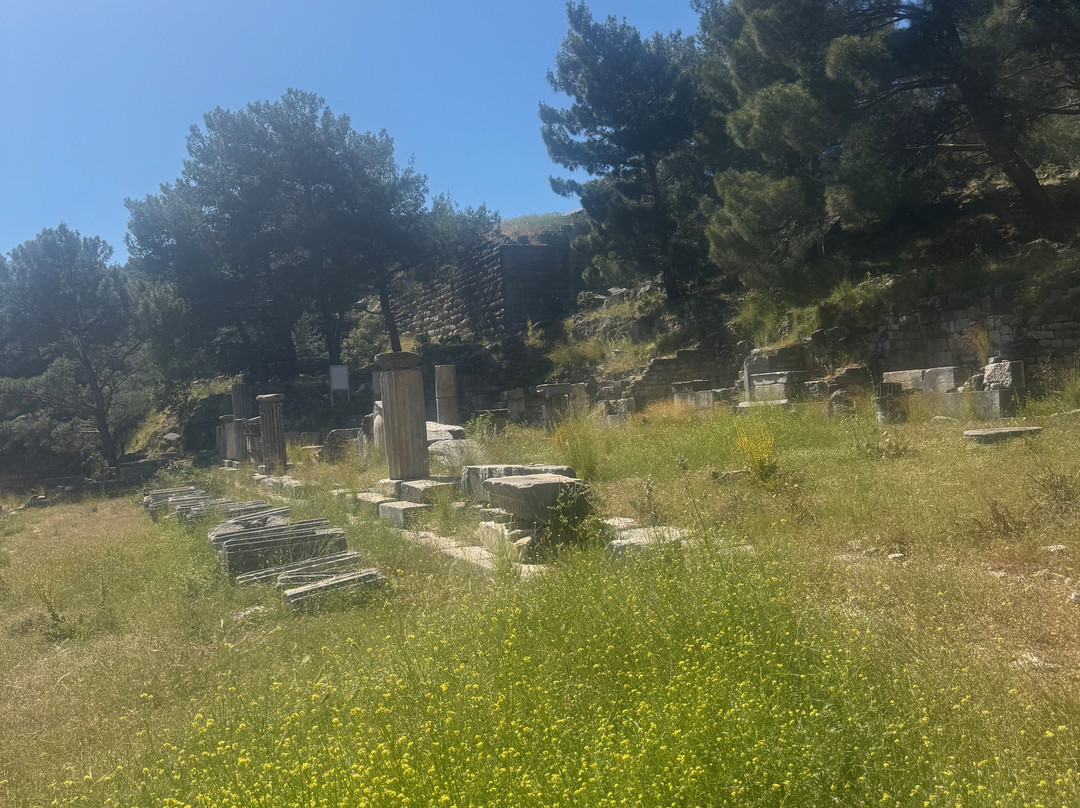 Priene Antik Kenti-Gullubahce必去景点