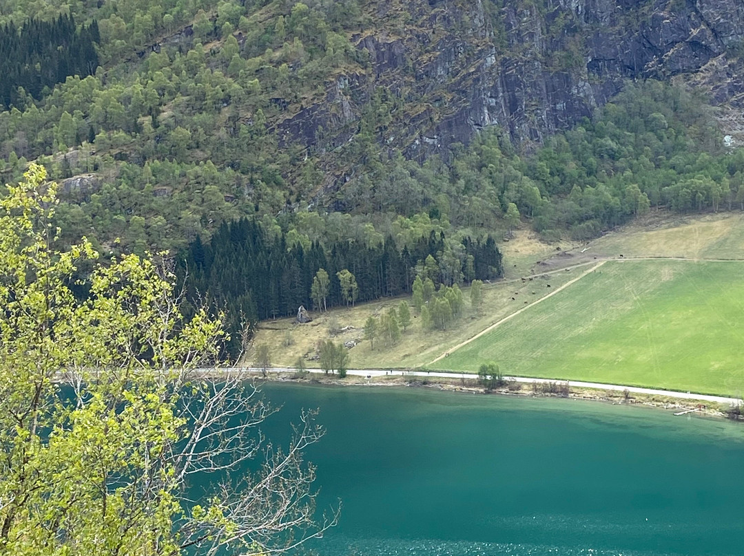Skjolden Viewpoint-Skjolden必去景点