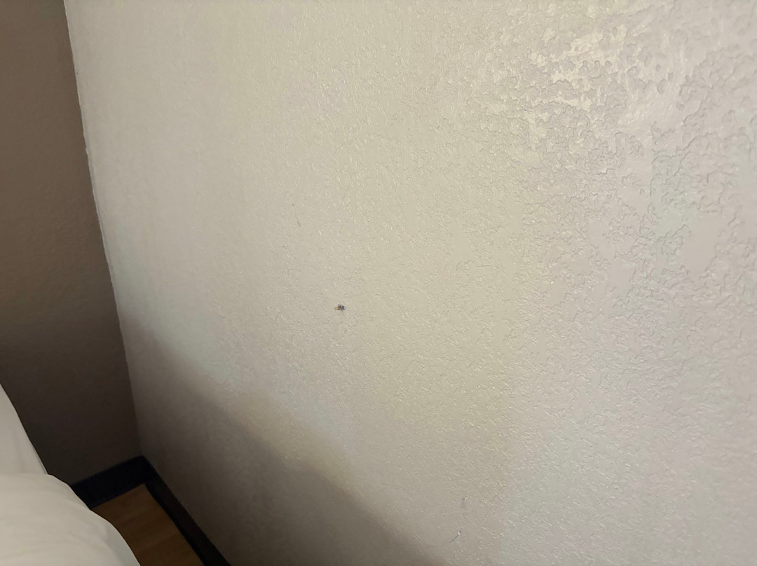 南卡罗来纳圣乔治红顶酒店主图