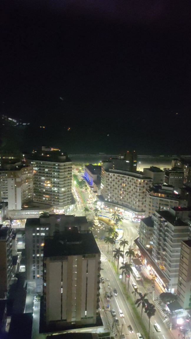 诺富特桑托斯贡萨加酒店-旅行者