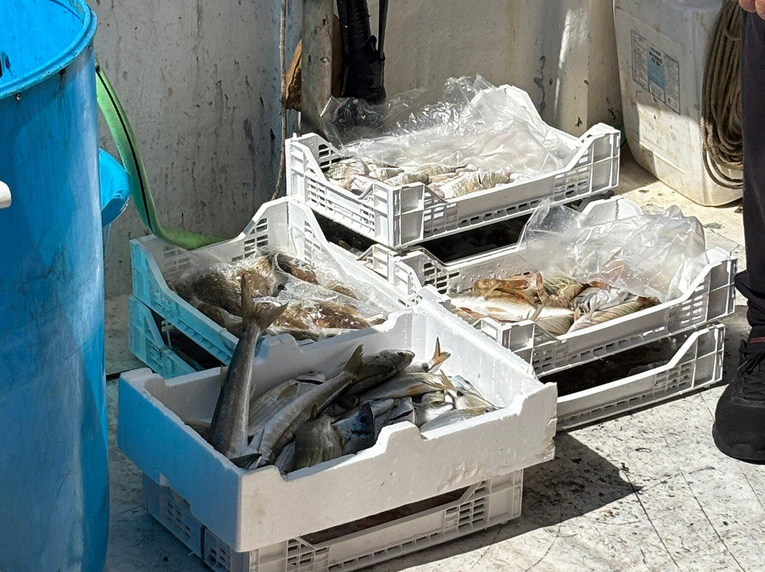 Levante Tour-Balestrate必去景点