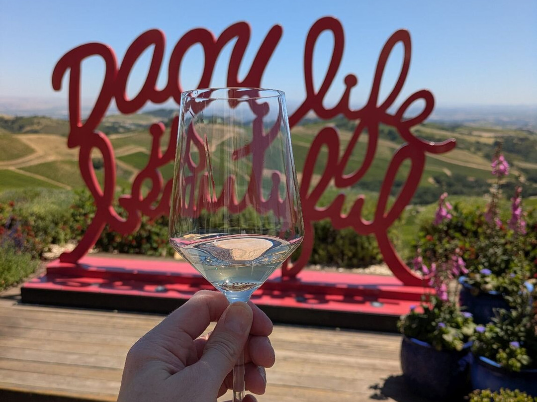 DAOU Vineyards-帕索罗布尔斯必去景点