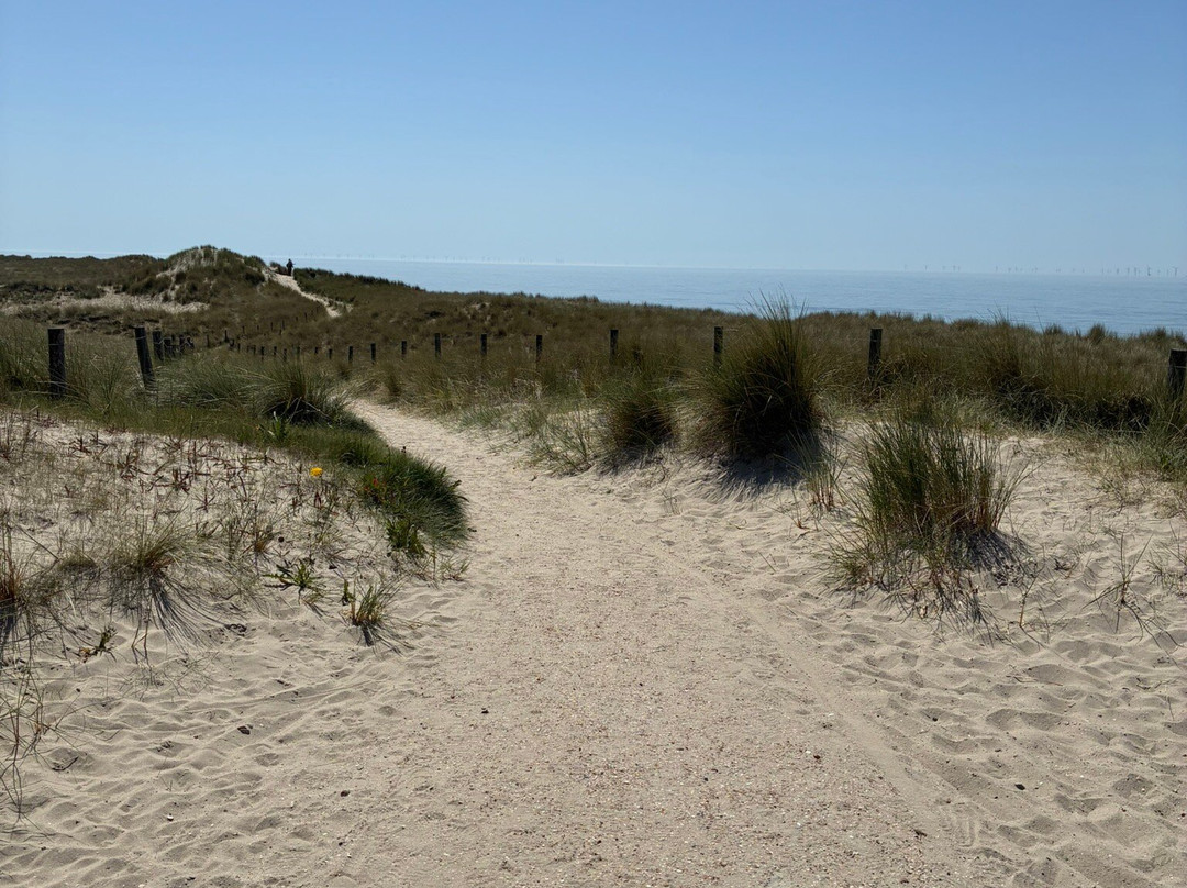 Petten aan zee-Petten必去景点