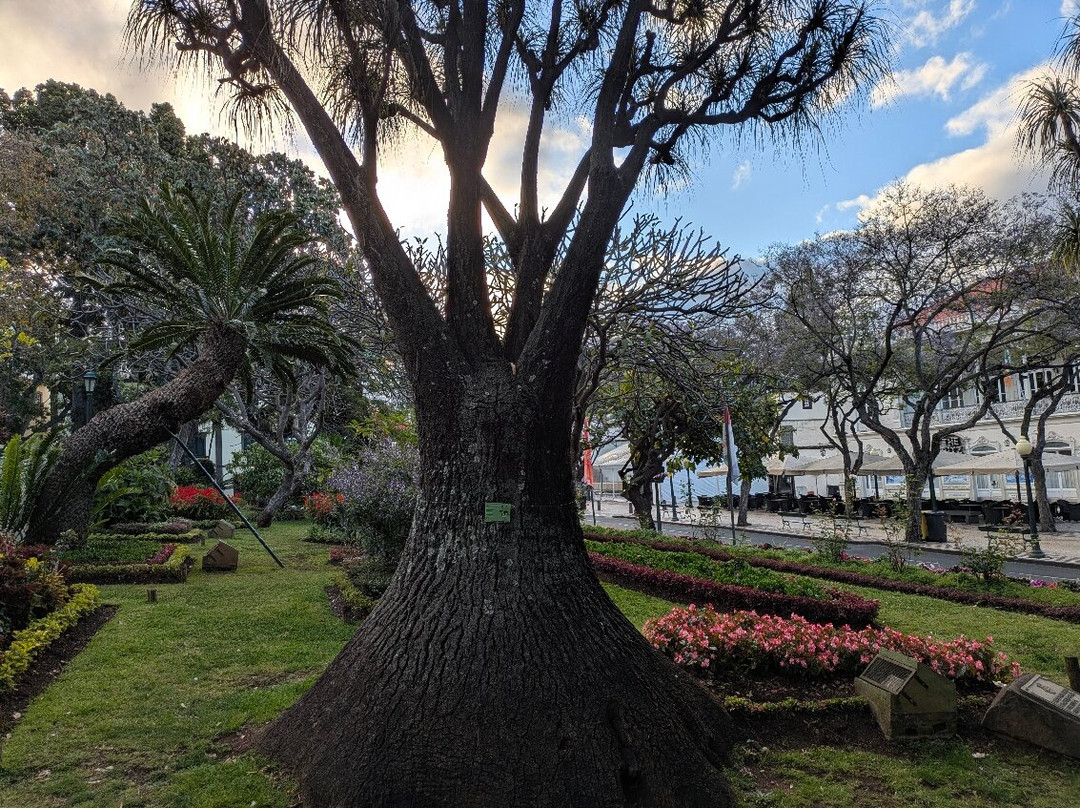 Parque de Santa Catarina-沙尔必去景点