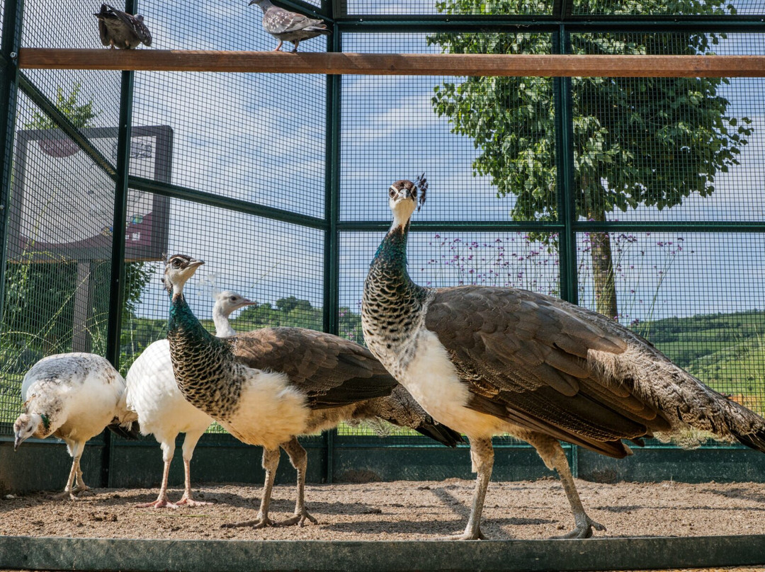Azienda Agricola Ca'Rugate-Montecchia di Crosara必去景点