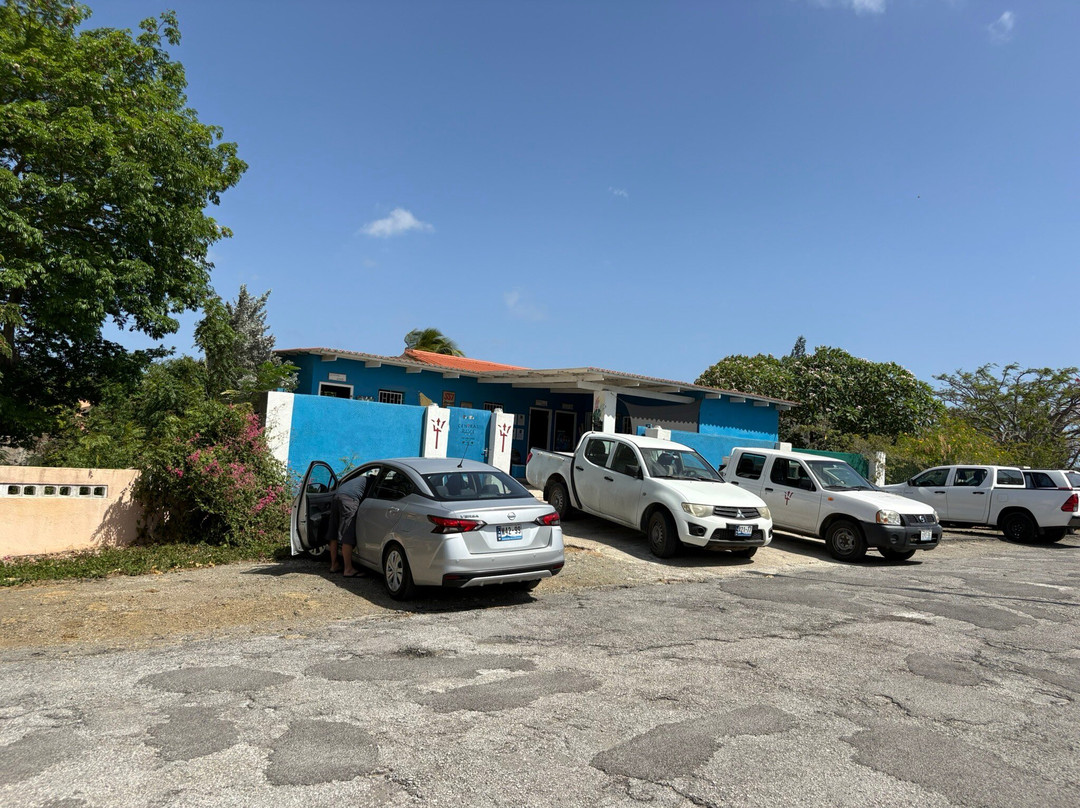 Central Dive Curacao-威廉斯塔德必去景点