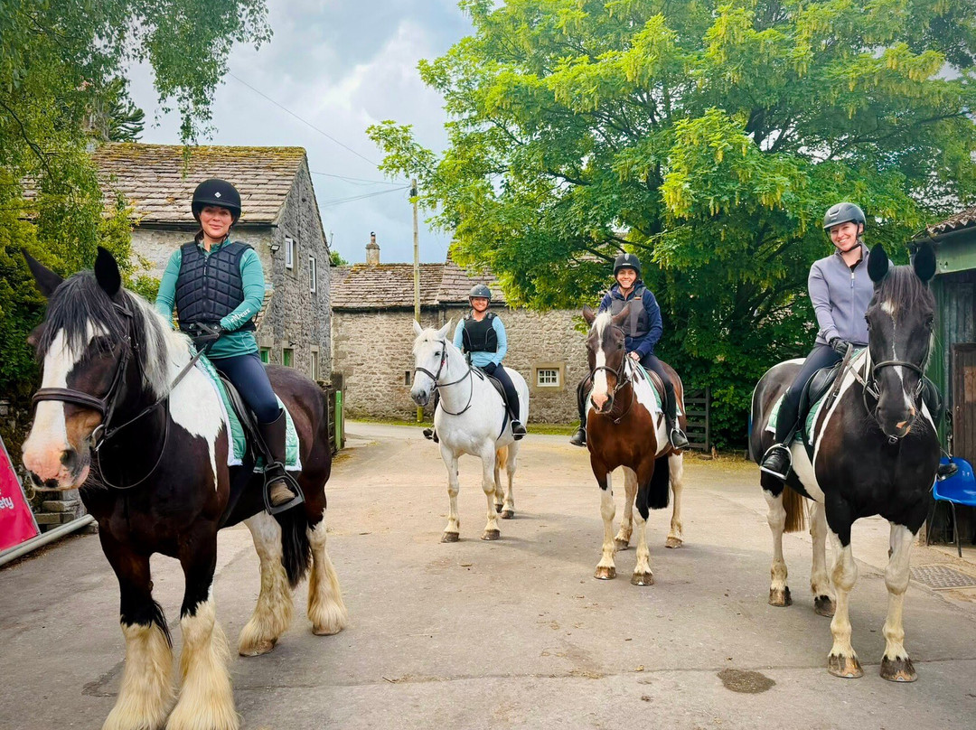 Kilnsey Trekking & Riding Centre-斯基普顿必去景点