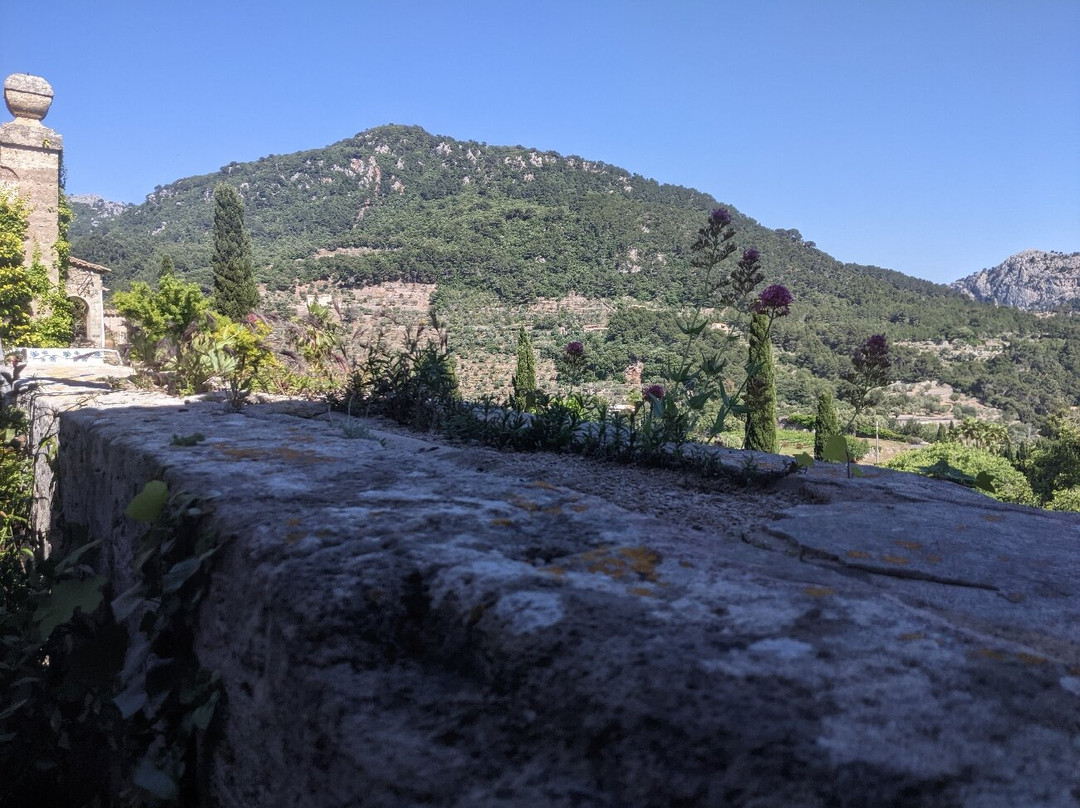Cartoixa de Valldemossa-法德摩萨必去景点