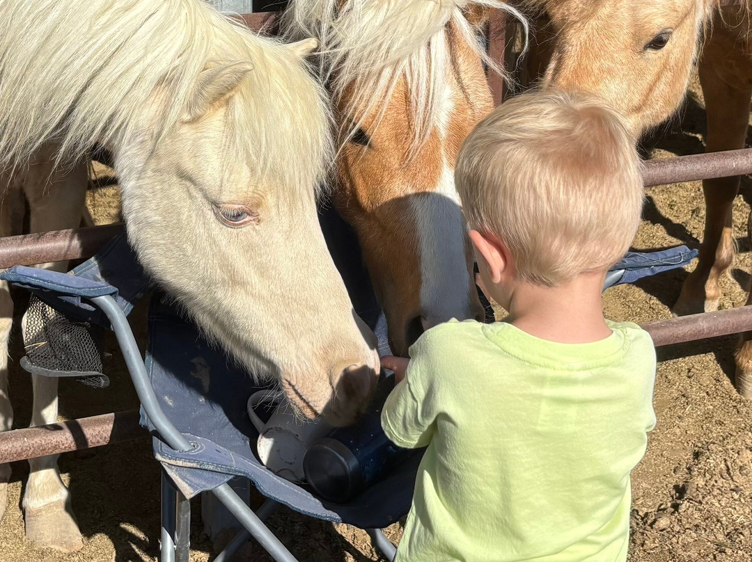 Utah Petting Zoo At Ivie Acres Farm-Grantsville必去景点