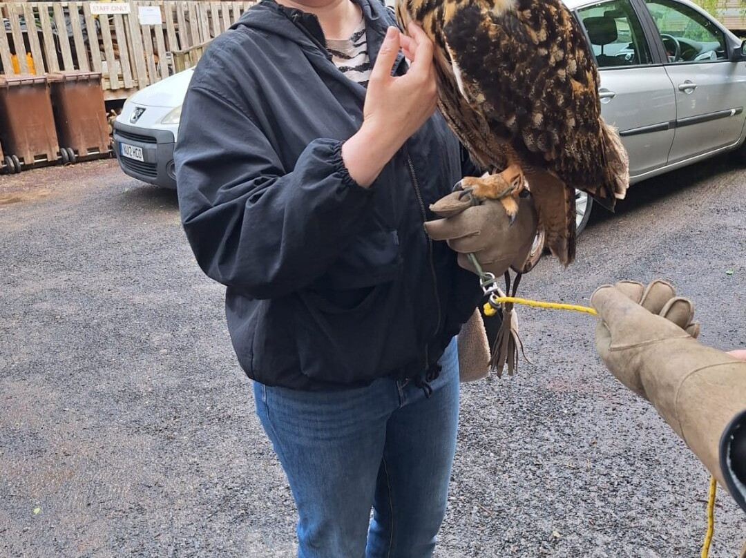 World of Owls-Randalstown必去景点