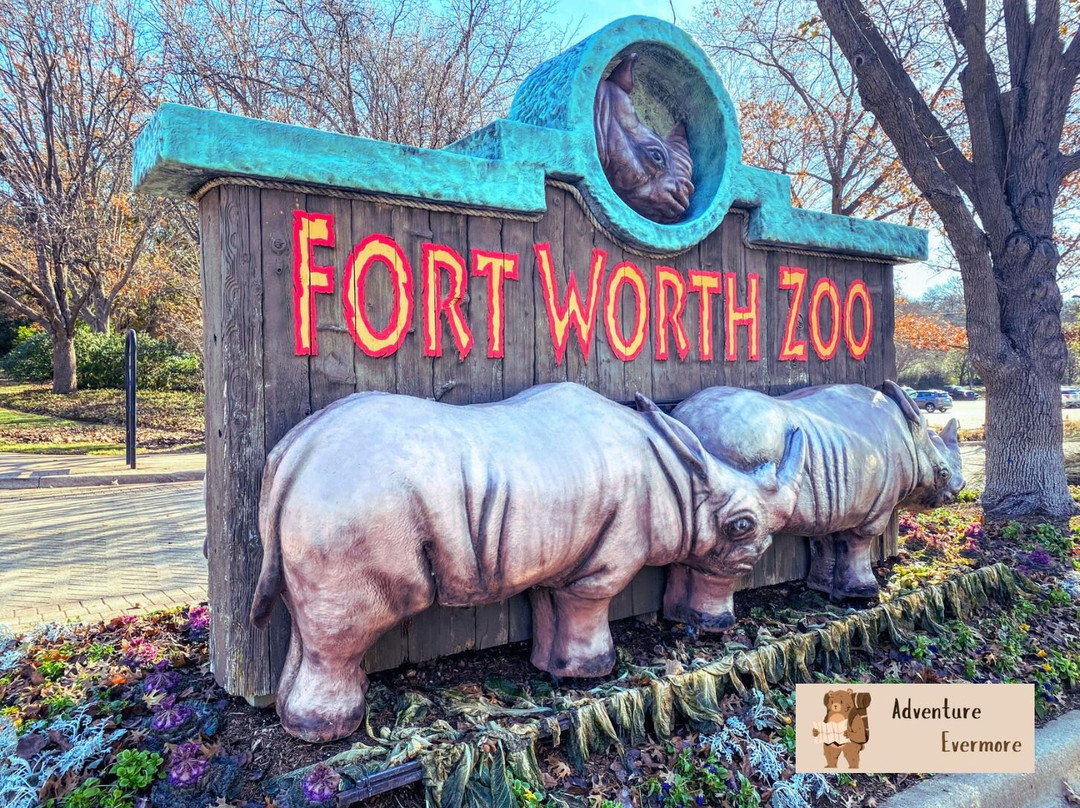 Fort Worth Zoo-沃思堡必去景点