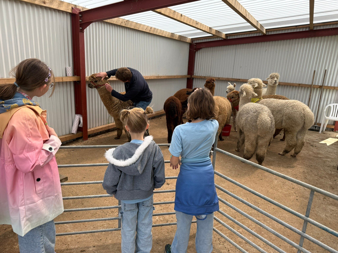 North Coast Alpacas