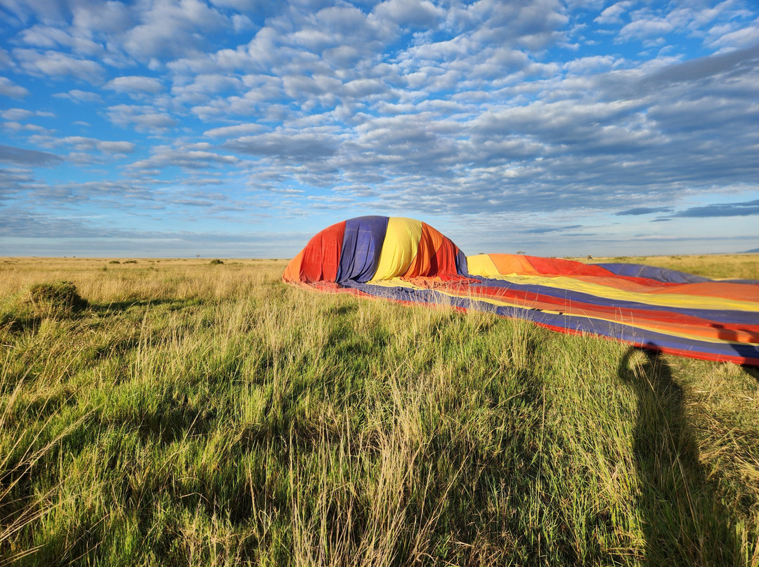 Governors’ Balloon Safaris-马赛马拉国家野生动物保护区必去景点