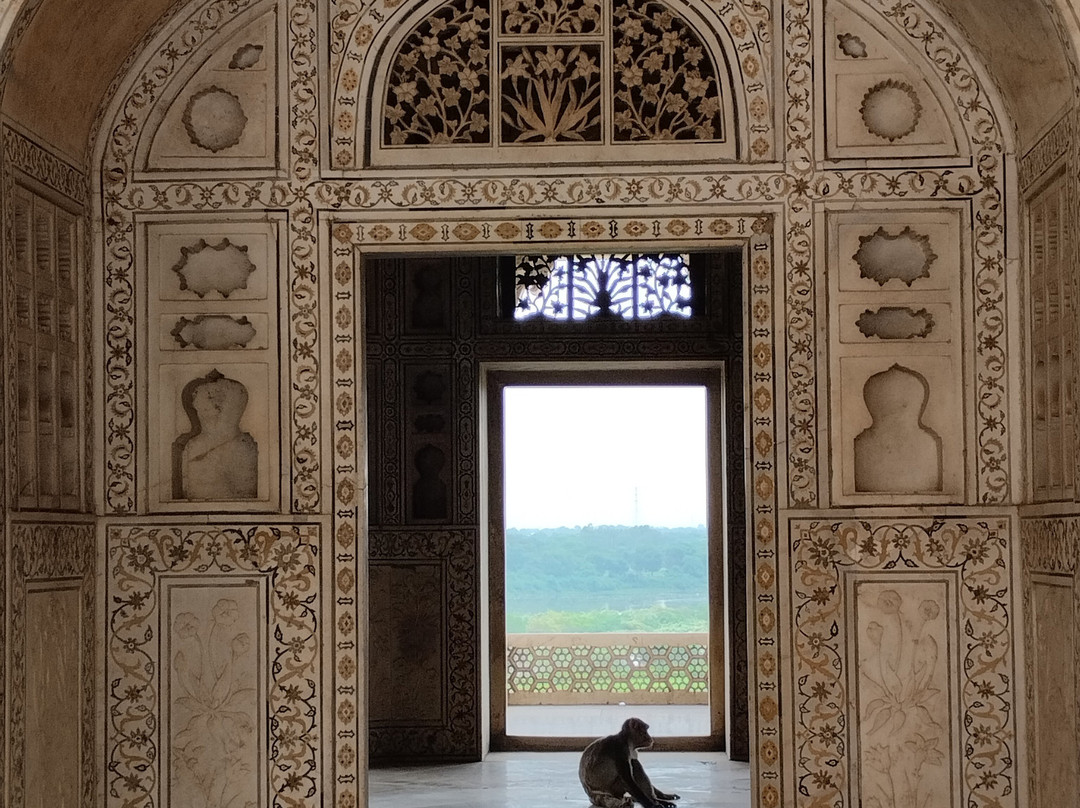Diwan-i-Am Agra Fort-阿格拉必去景点