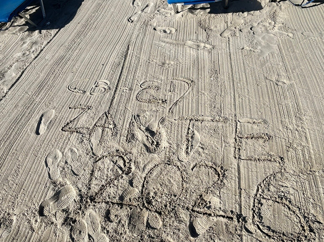 桑提海豚酒店主图