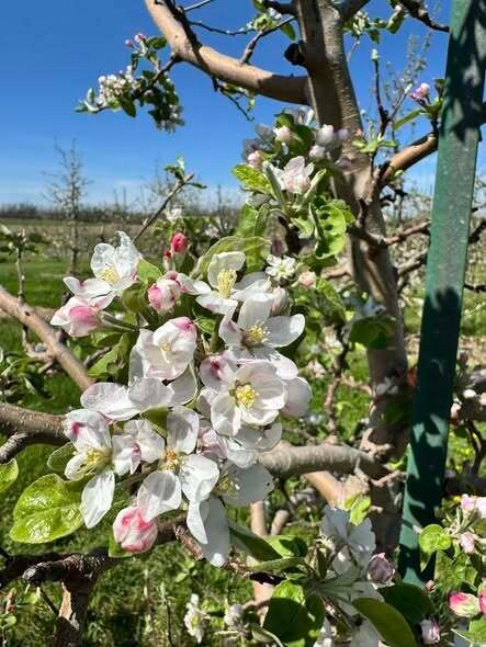 Oakwood Fruit Farm-Richland Center必去景点