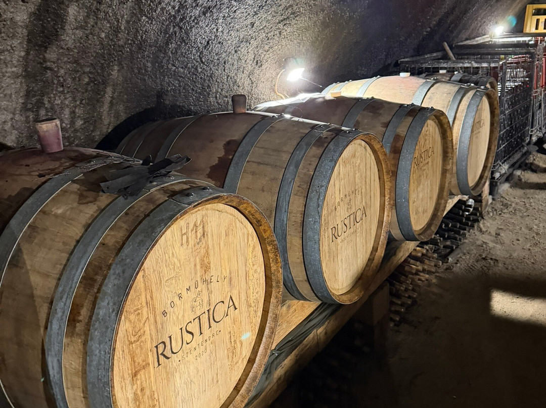 Rustica Borműhely - Rustica Winery-圣安德烈必去景点