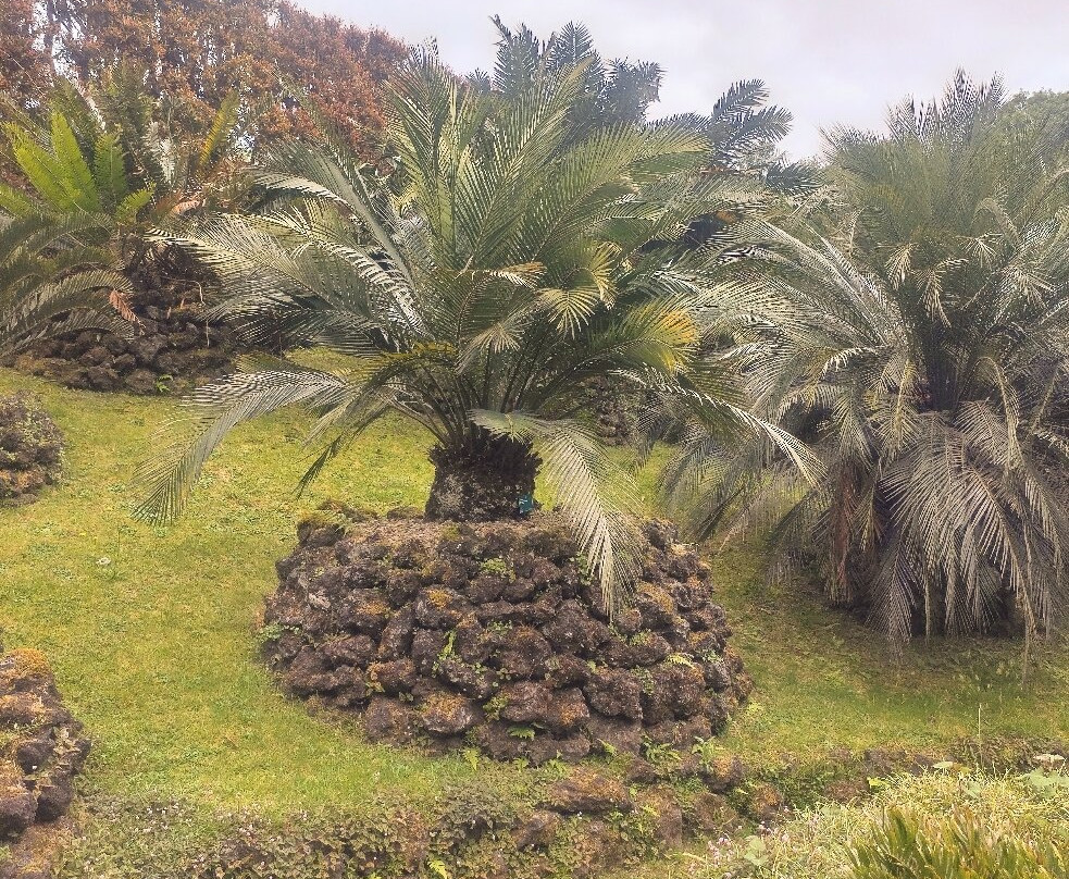 Jardim Botânico António Borges-蓬塔德尔加达必去景点