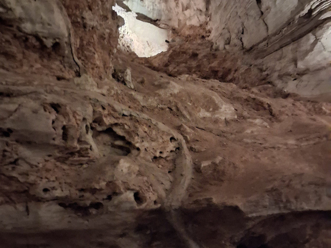 Longhorn Cavern State Park-Burnet必去景点