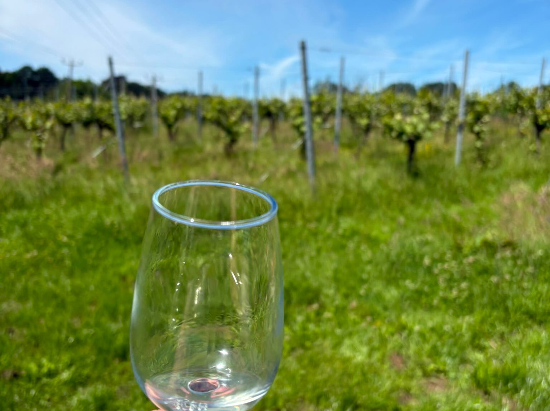 Kingscote Estate and Vineyard-东格林斯特德必去景点