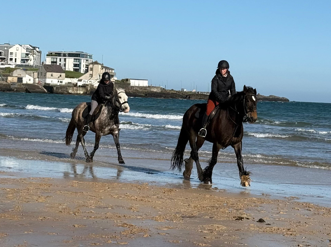 Bespoke Equestrian Ireland-都柏林必去景点