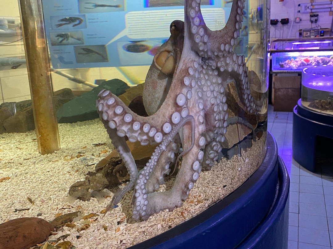 Lake District Coast Aquarium-Maryport必去景点