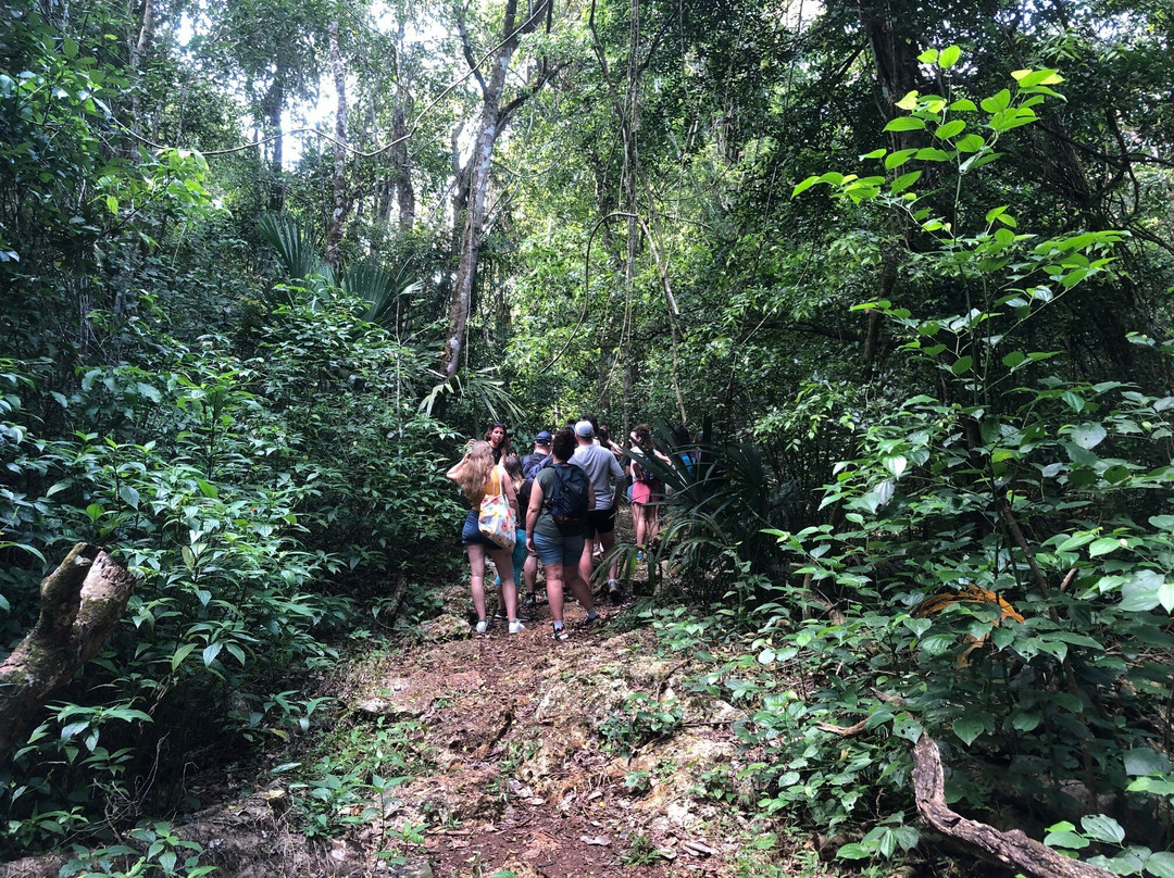 Punta Laguna Nature Reserve-图伦必去景点