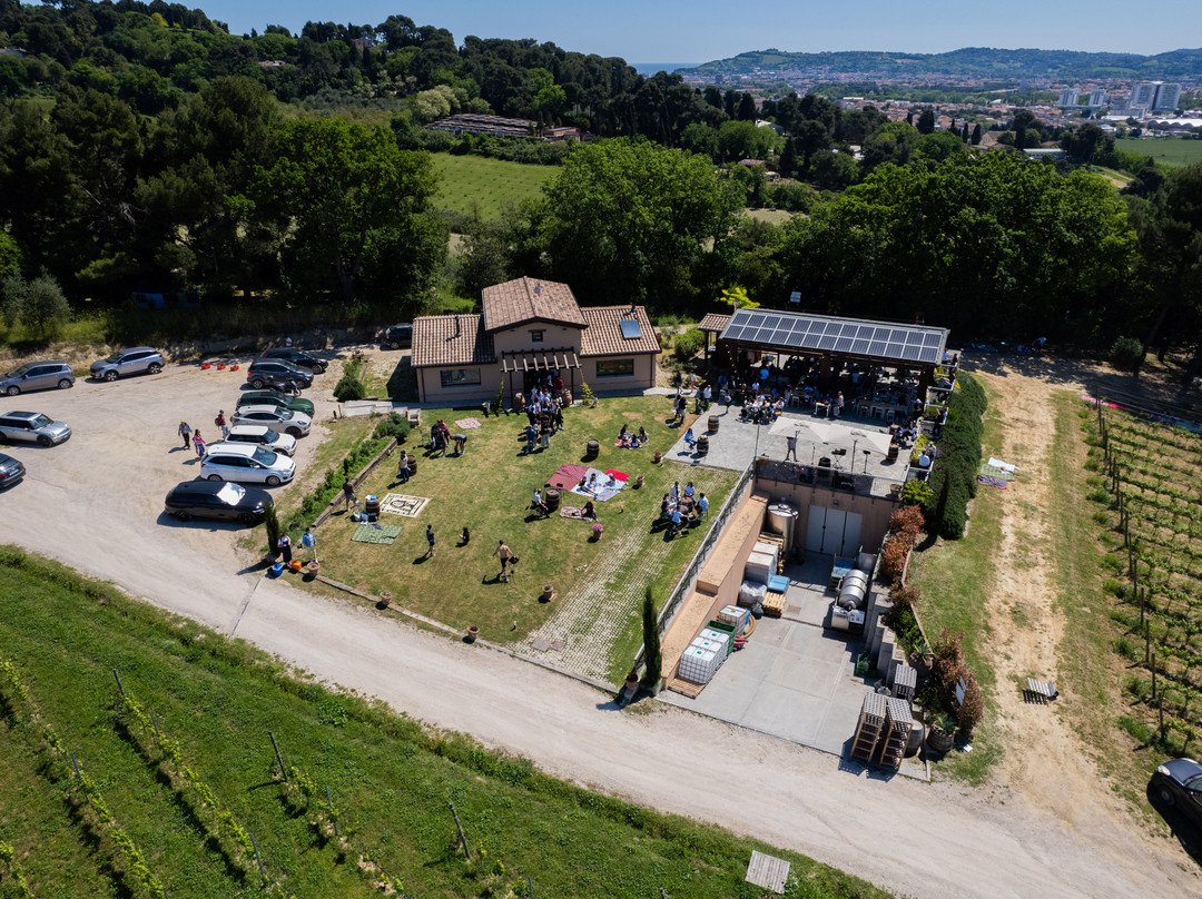 Azienda Agricola De Leyva-佩萨罗必去景点