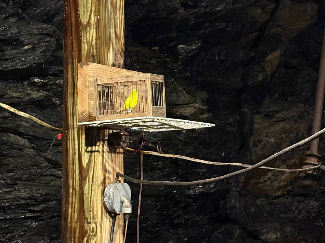 Lackawanna Coal Mine Tour-斯克兰顿必去景点