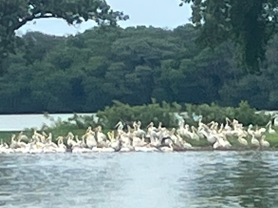 Pelican Breeze Cruises-Albert Lea必去景点