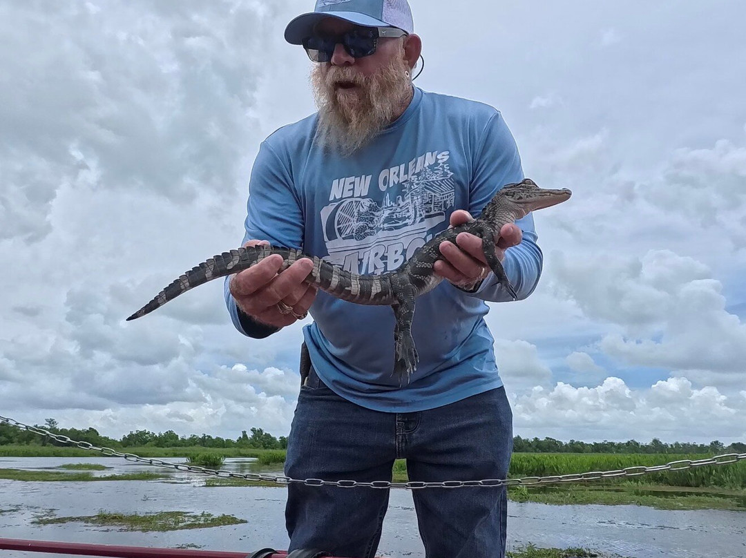 New Orleans Airboat Tours-Marrero必去景点
